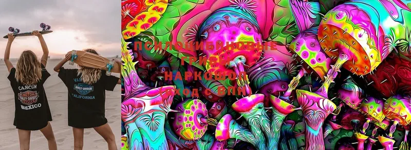 Псилоцибиновые грибы MAGIC MUSHROOMS  Высоковск 